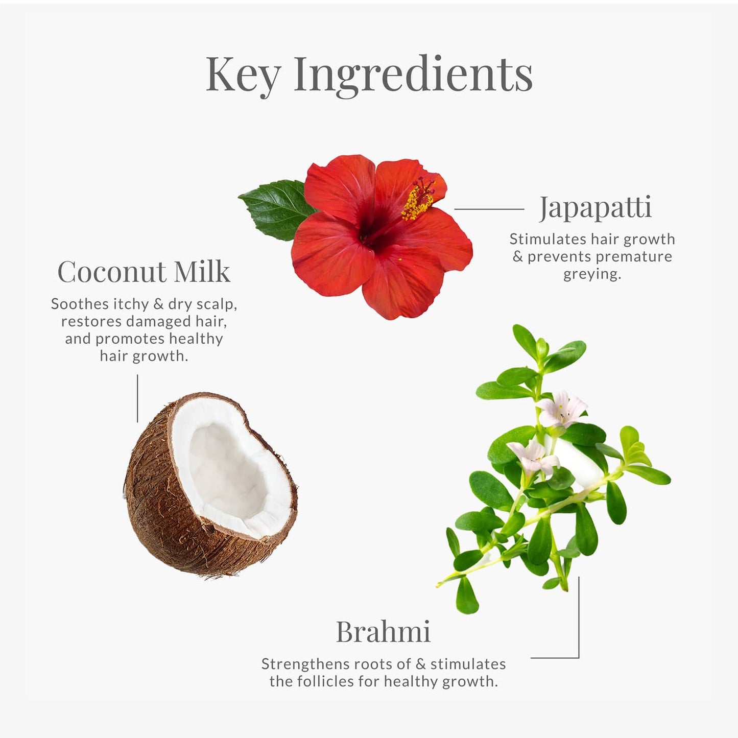 Forest Essentials Japapatti & Brahmi Hair Conditioner (200ml)