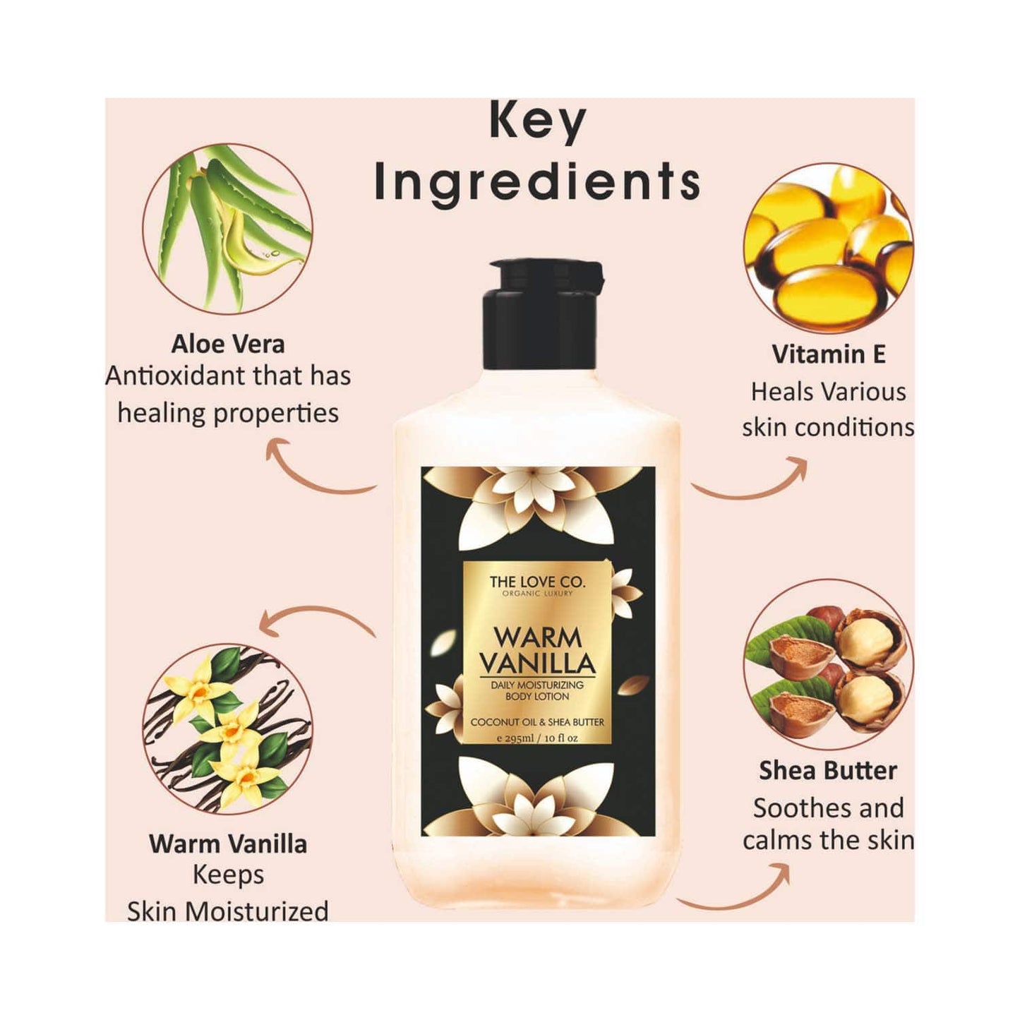 THE LOVE CO. Warm Vanilla Daily Moisturizing Body Lotion (295ml)