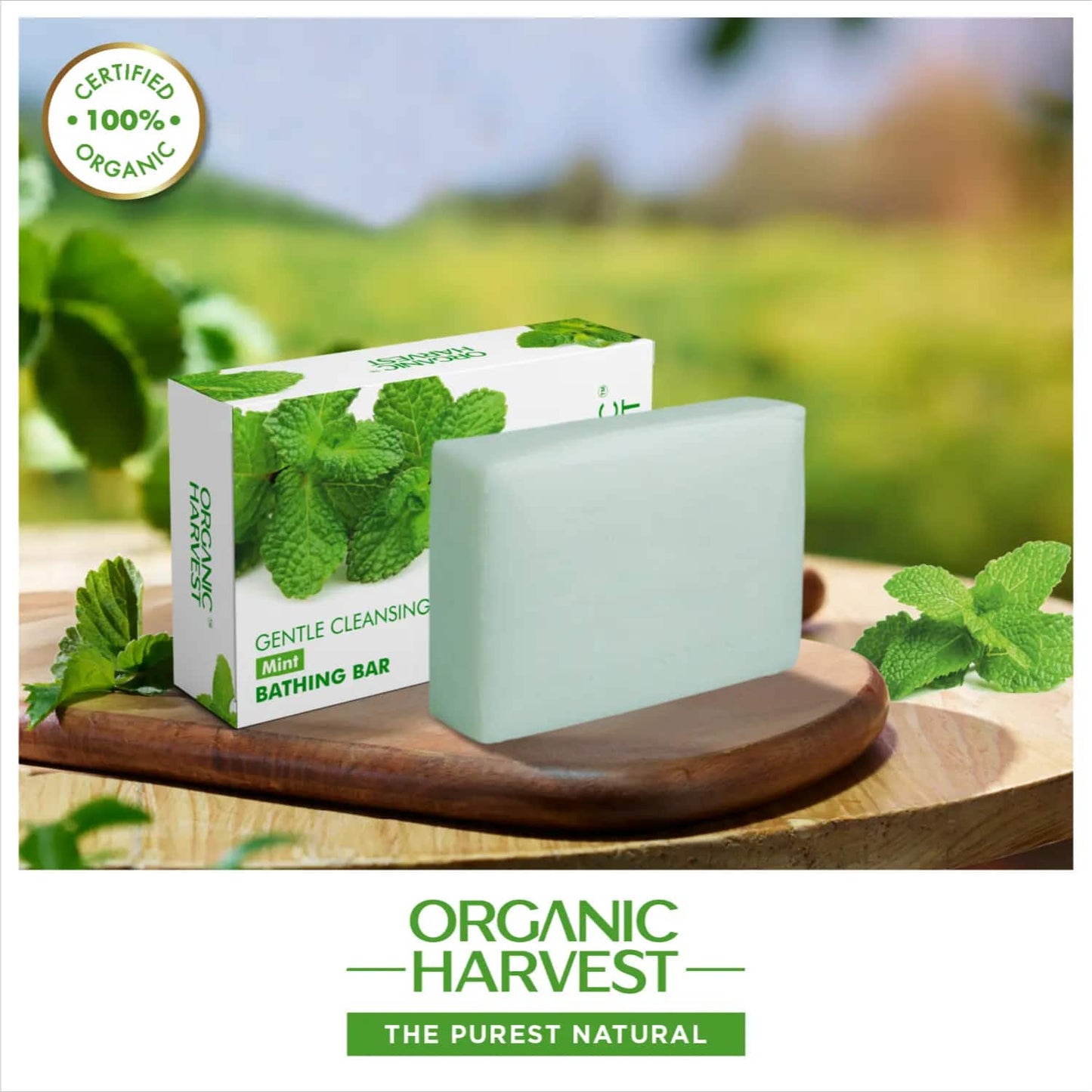 Organic Harvest Mint Bathing Bar (125g)