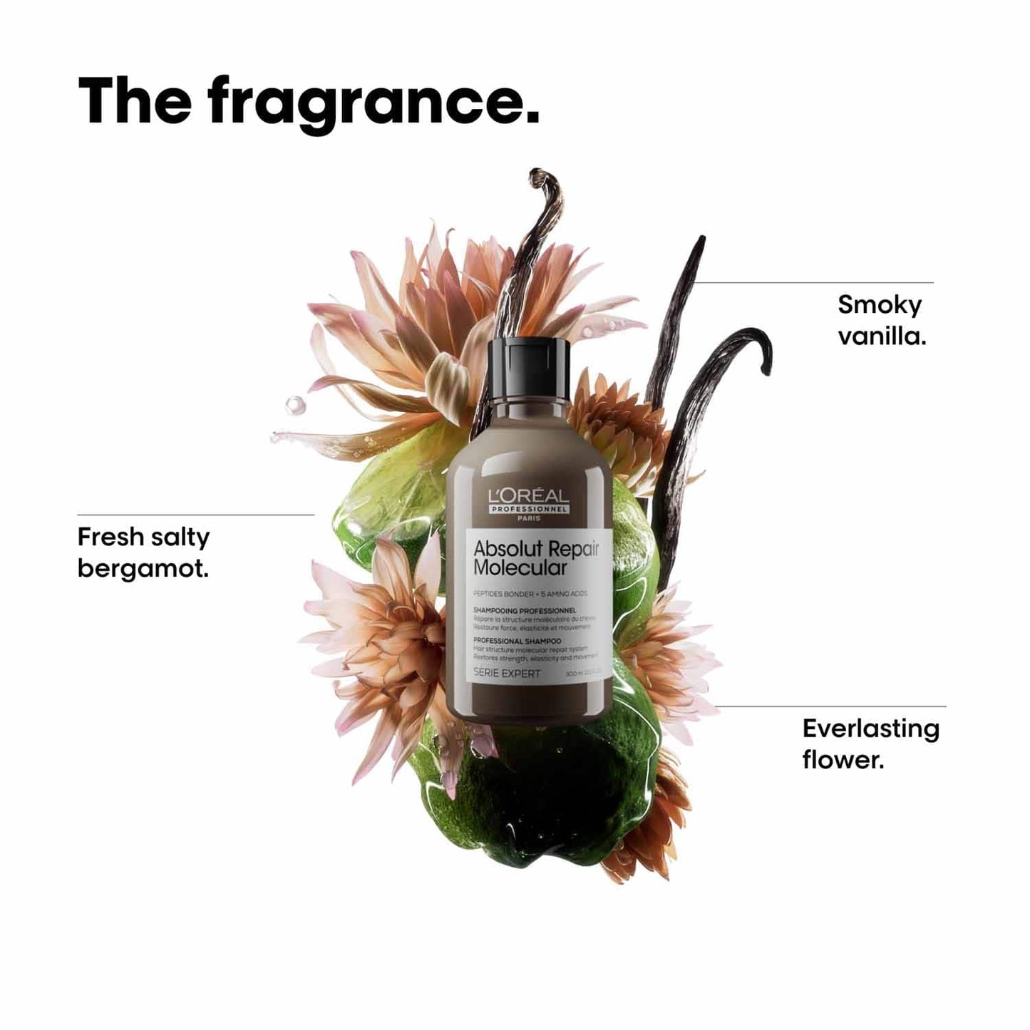 L'Oreal Professionnel Absolut Repair Molecular Sulfate-Free Deep Repair Shampoo For Damaged Hair
