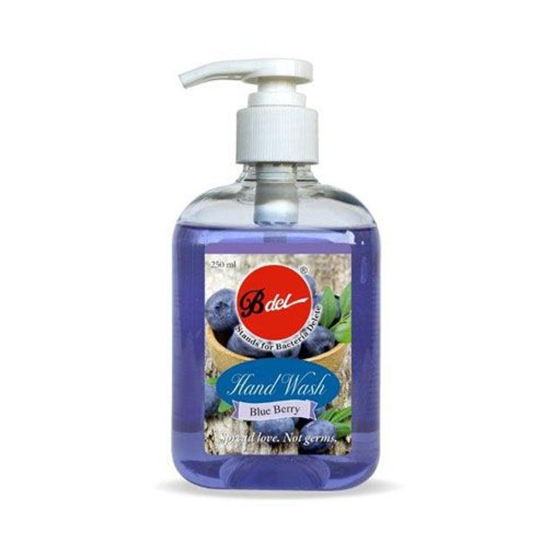 Hand Wash - Blue Berry