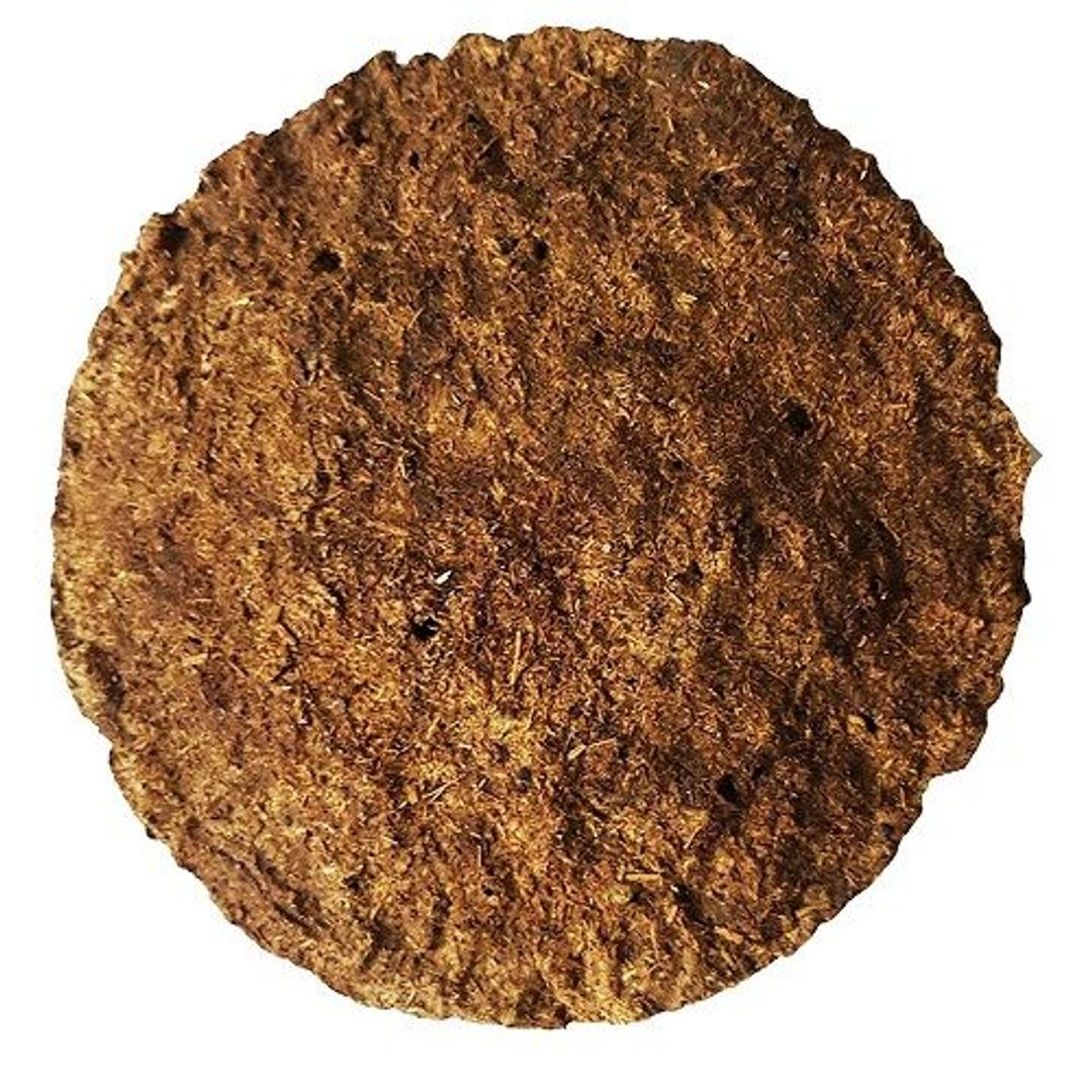 Cow Dung Cake