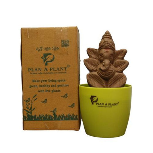 Ganesh In Green Pot - Organic Soil Mix, Chemical-Free