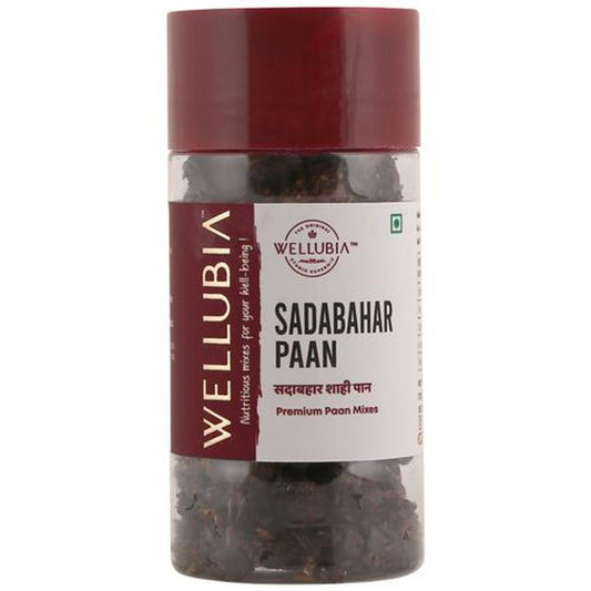 Sadabahar Shahi Paan Mukhwas - Premium Aromatic Mix, After Meal Mouth Freshener