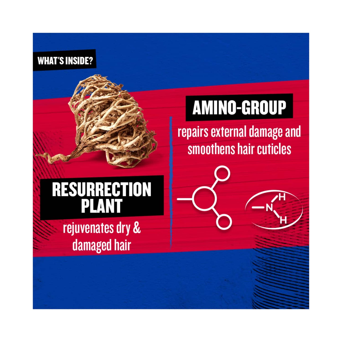 TIGI Bed Head Resurrection Super Repair Shampoo For Weak And Brittle Hair (400ml)