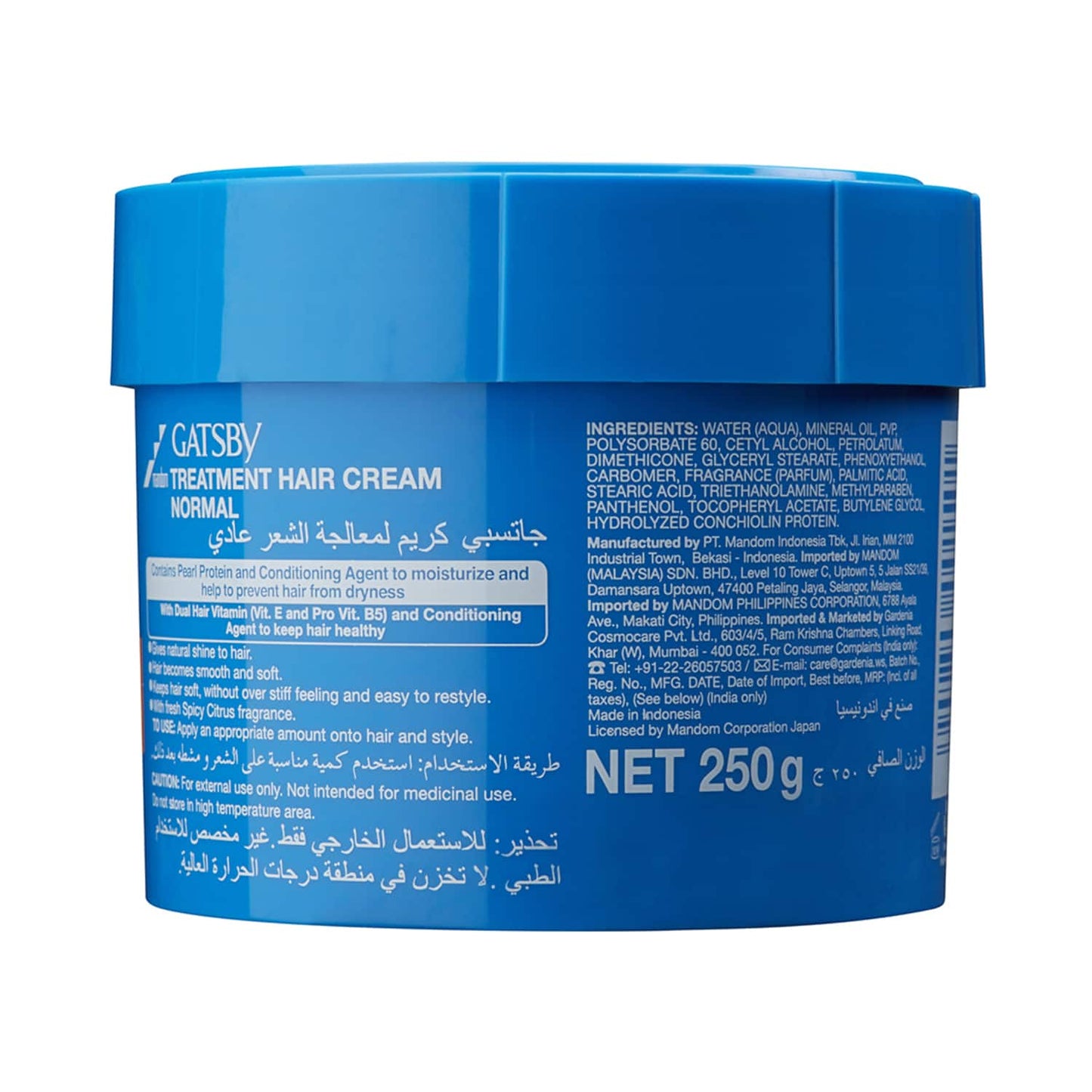 Gatsby Treatment Normal Hair Cream (250g)