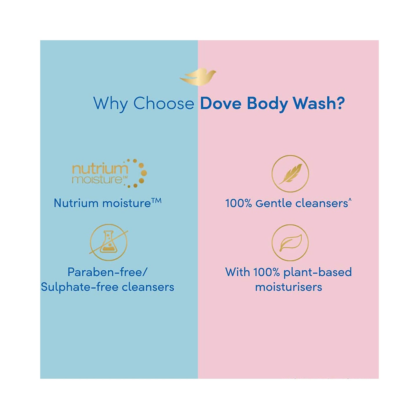 Dove Deeply Nourishing Body Wash (250ml)