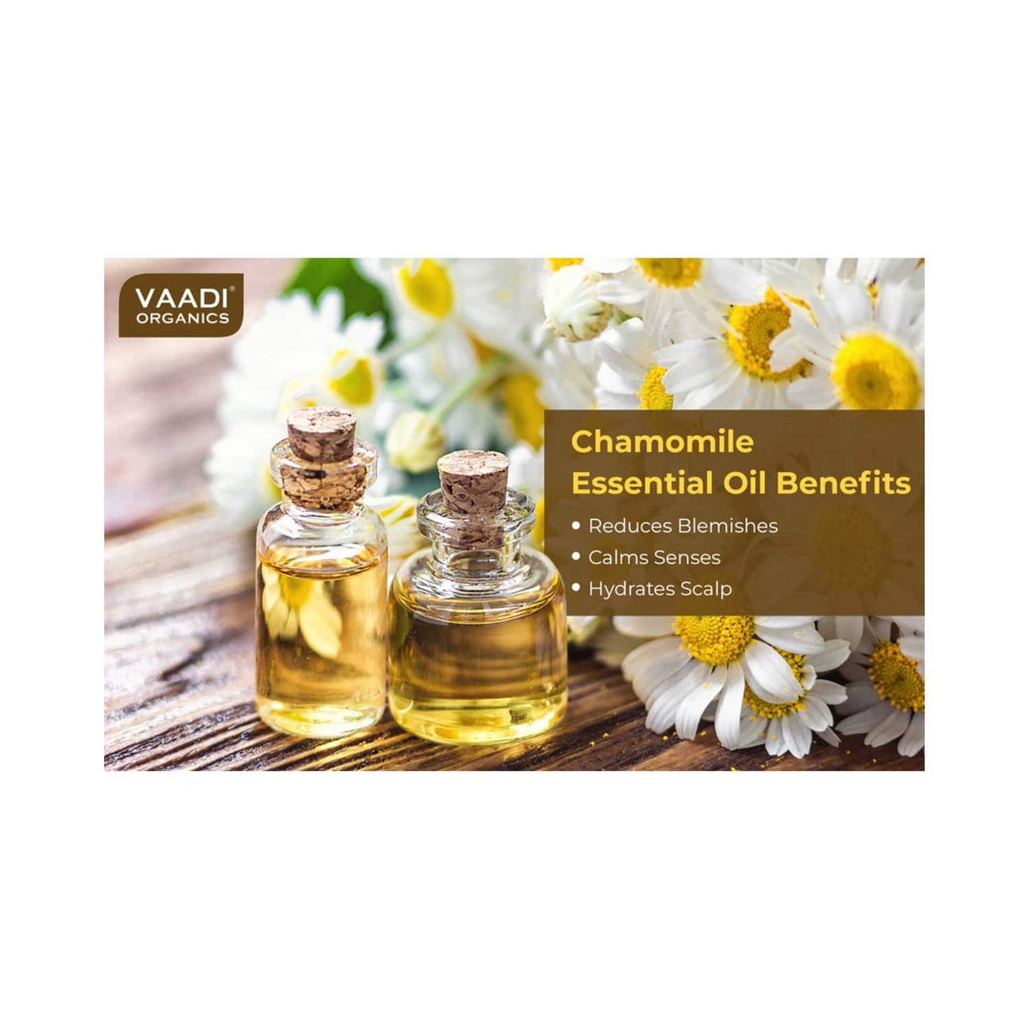 Vaadi Herbals Chamomile Essential Oil (10ml)