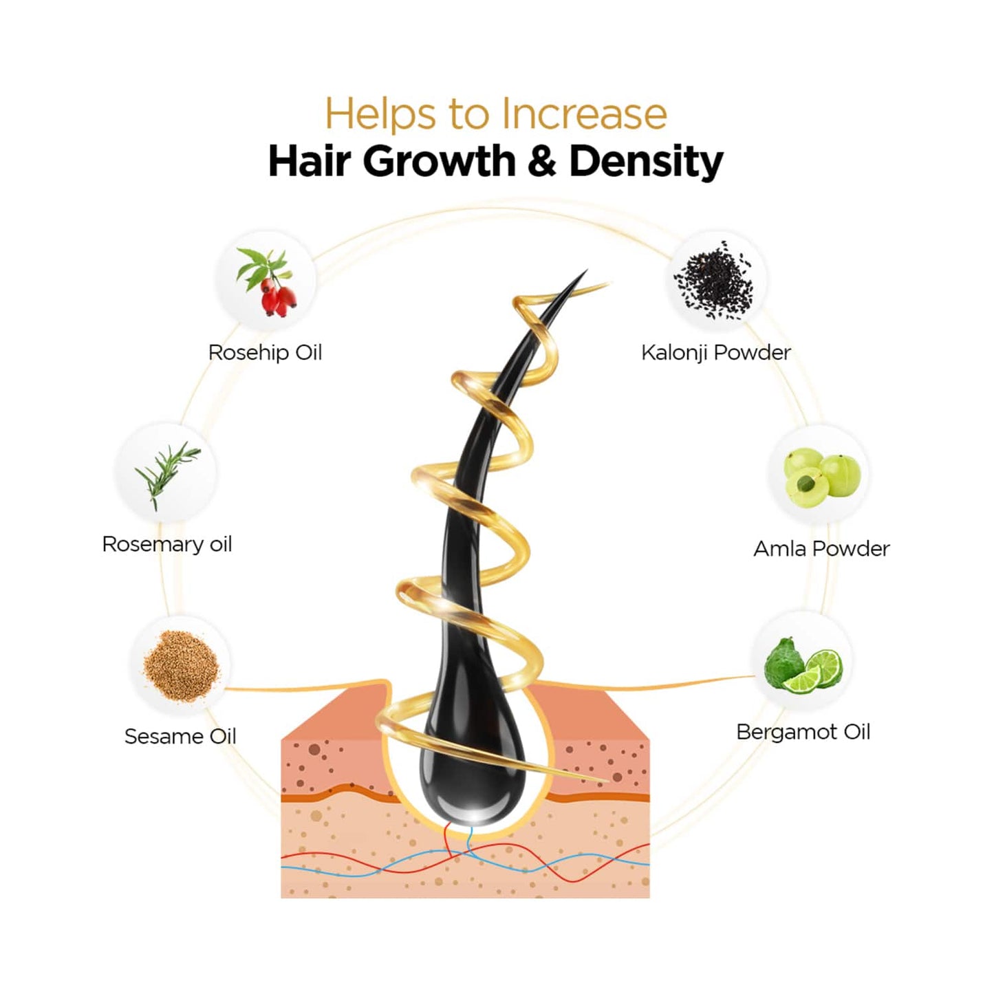 Protouch PROGROW Hair Growth Oil with Rosemary & Methi For Anti Hair Fall & Anti Dandruff