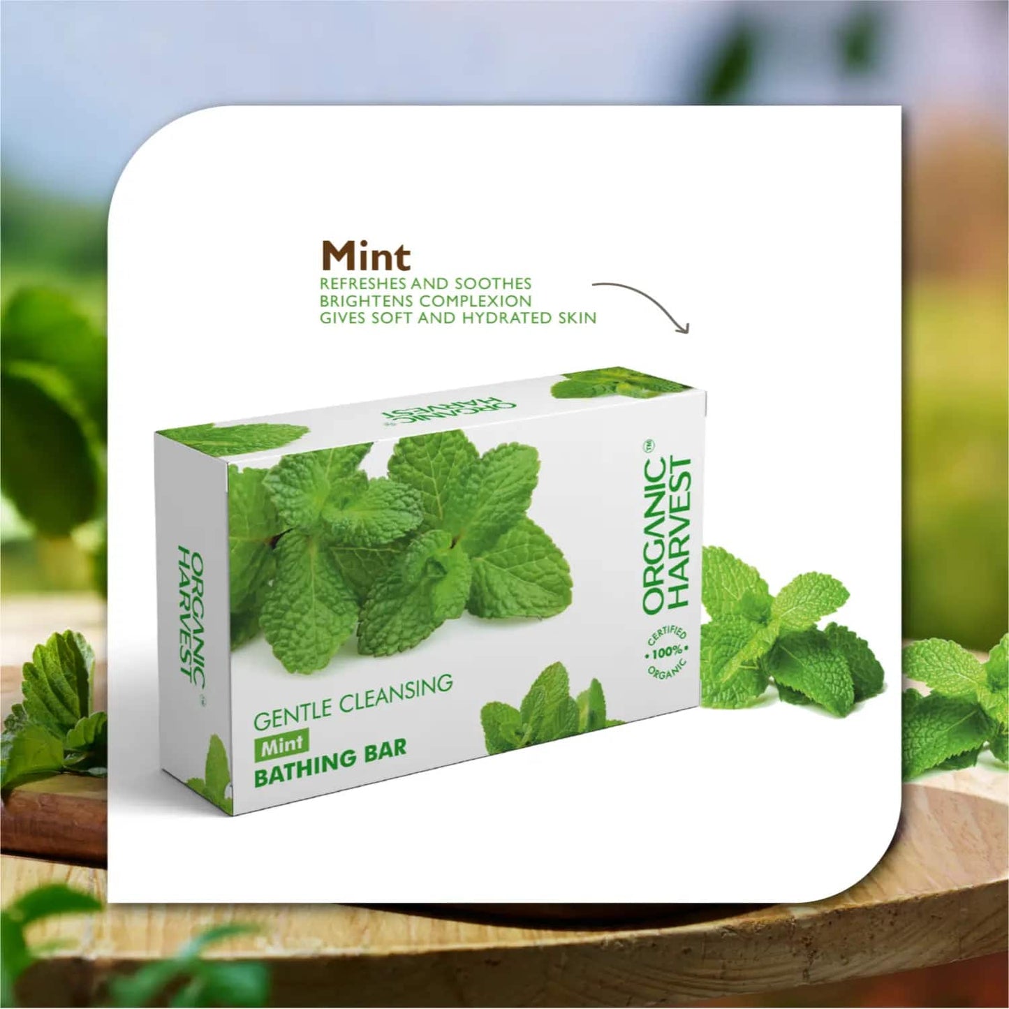 Organic Harvest Mint Bathing Bar (125g)