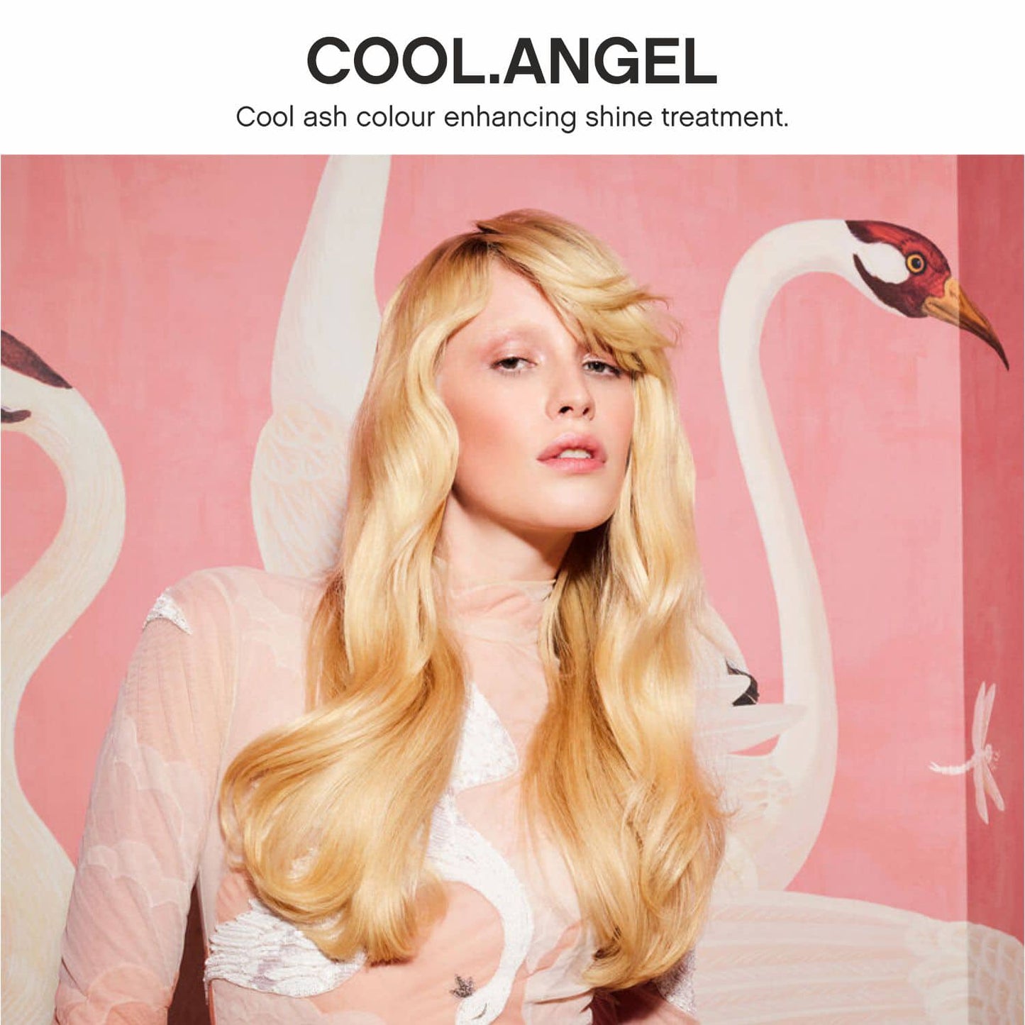 Kevin Murphy Cool Angel Color Enhancing (250ml)