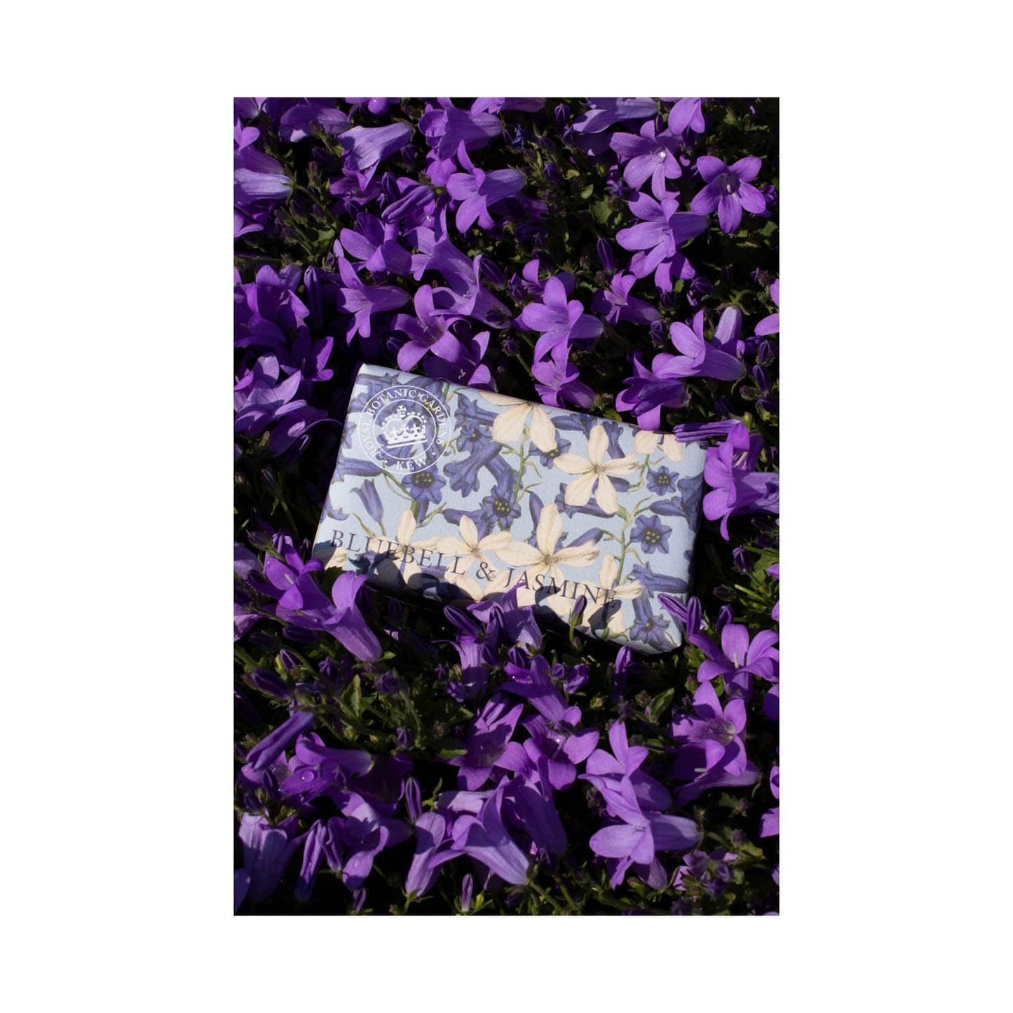 The English Soap Company Royal Botanic Gardens Kew Bluebell & Jasmine Soap (240g)