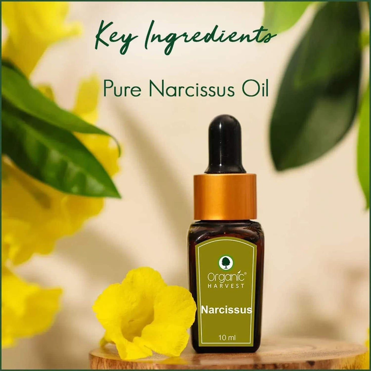 Organic Harvest Narcissus Essential Oil (10ml)