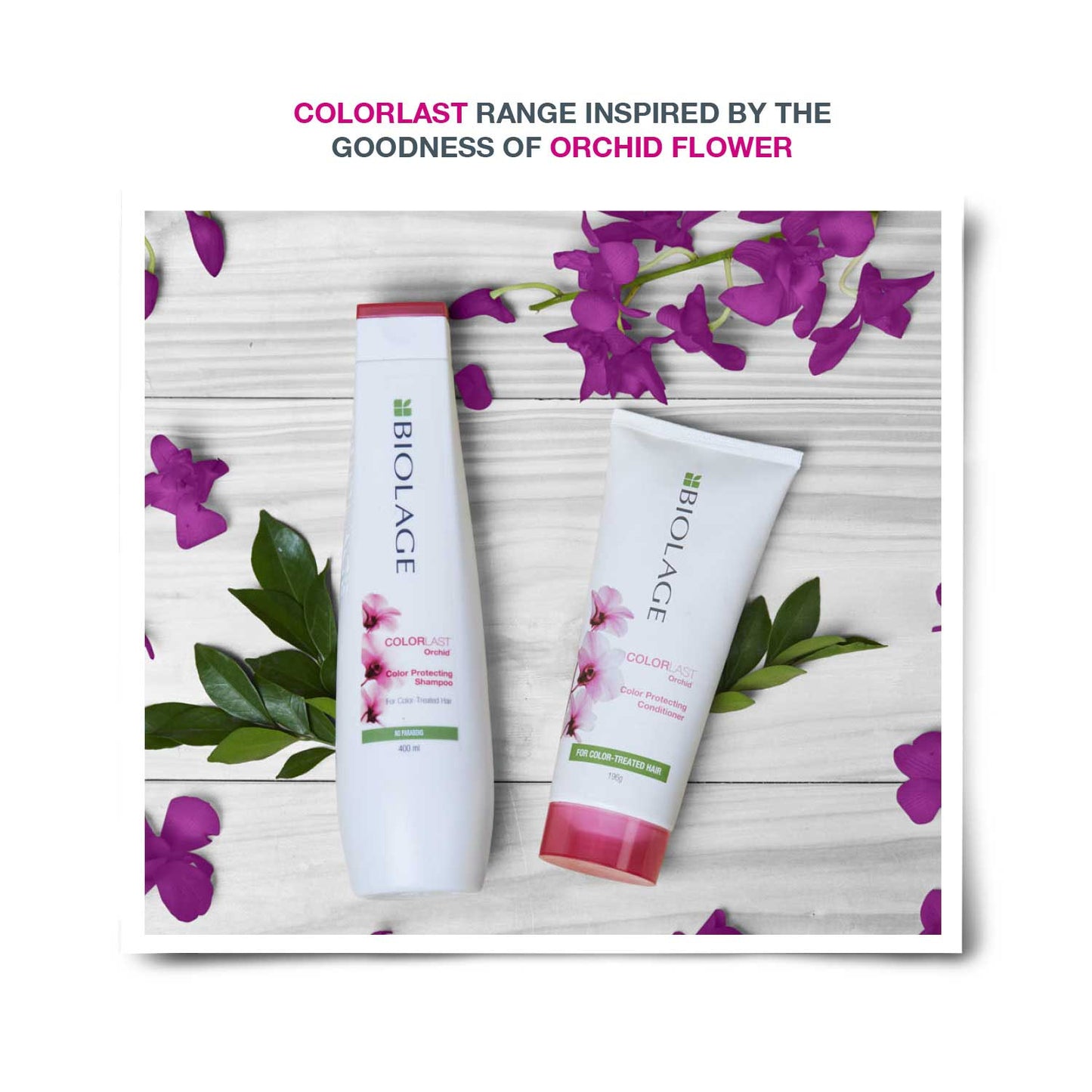 Biolage Colorlast Shampoo & Conditioner Combo for Protection to Color Treated Hair (200 ml + 98 g)