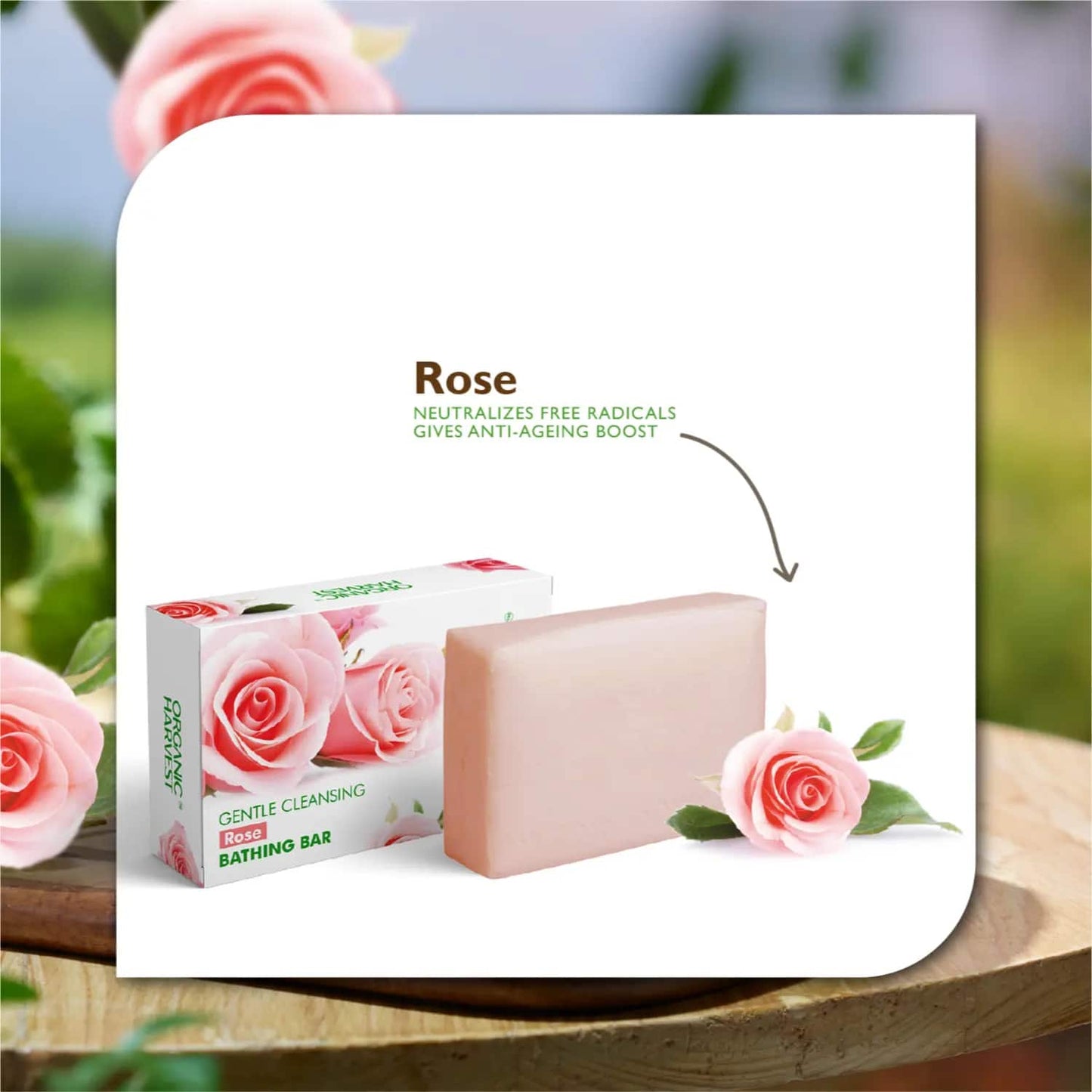 Organic Harvest Rose Bathing Bar (125g)