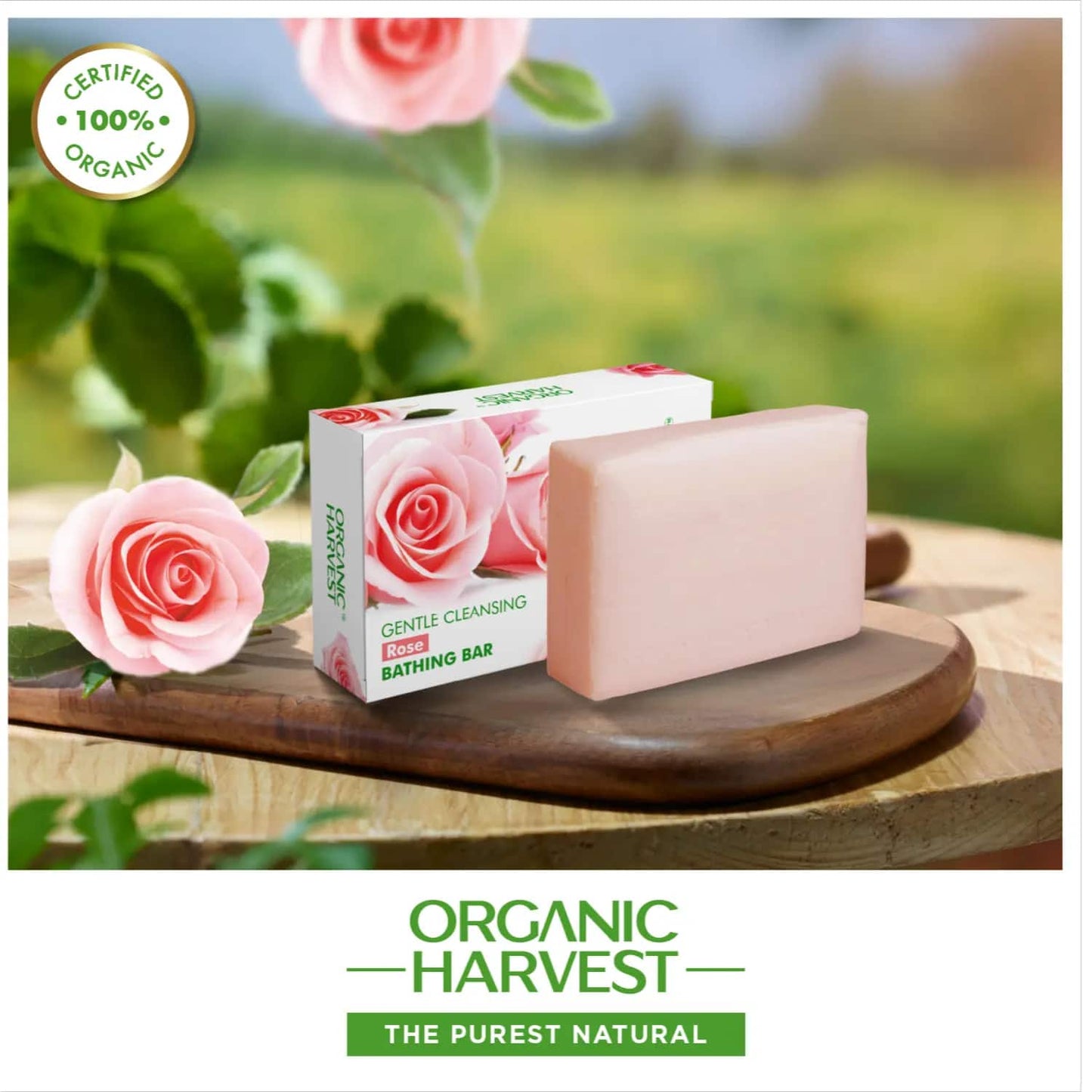 Organic Harvest Rose Bathing Bar (125g)