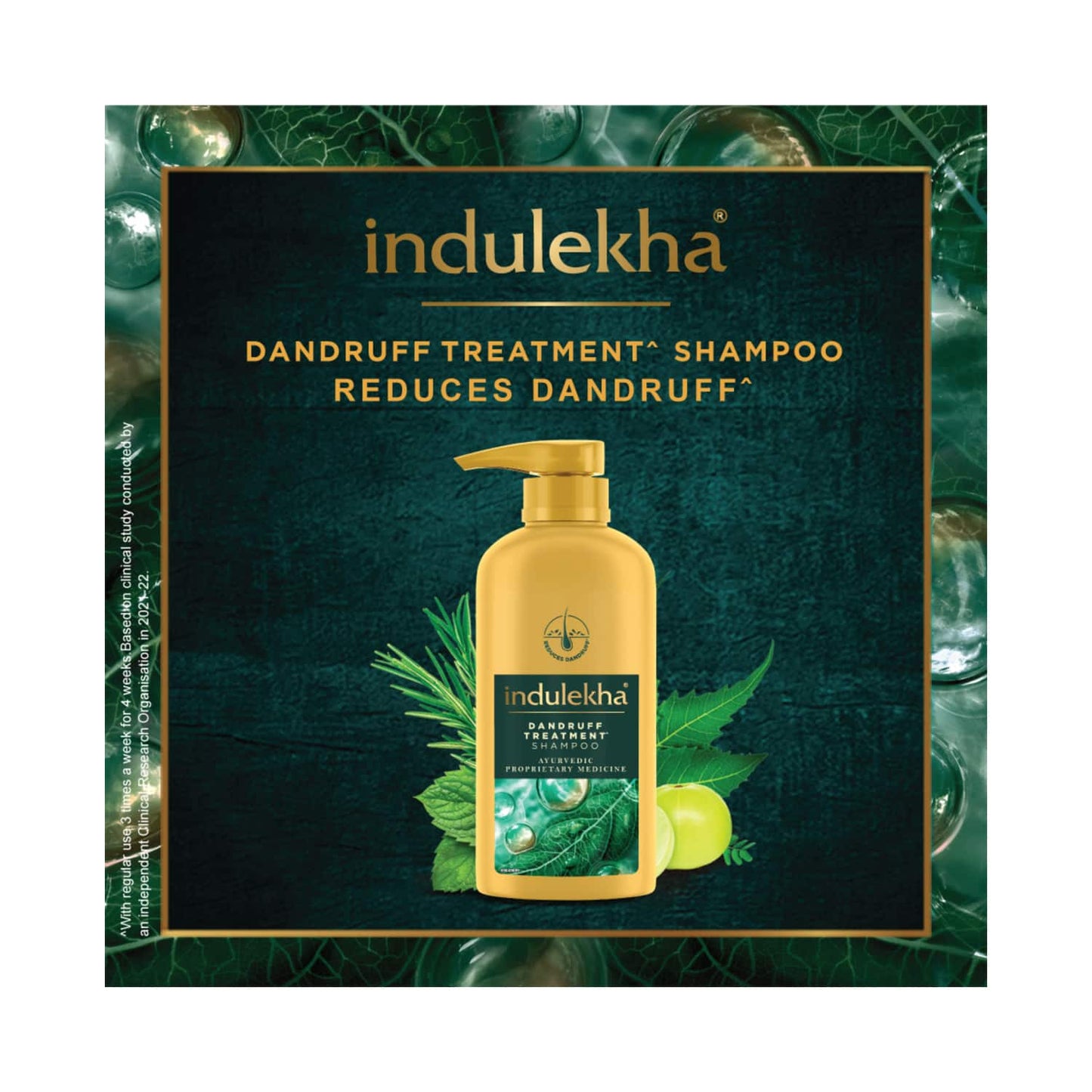 Indulekha Dandruff Treatment Shampoo (580ml)