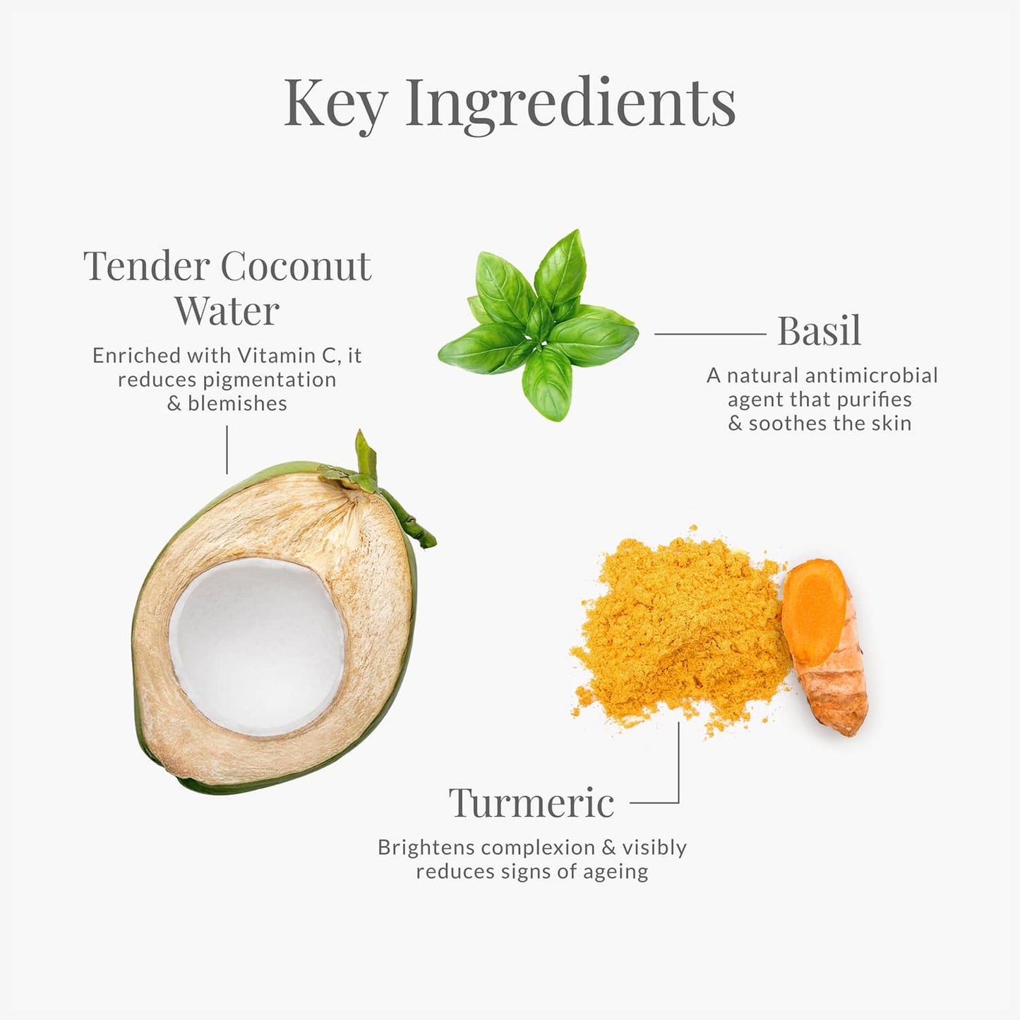 Forest Essentials Turmeric & Basil Leaf Sun Fluid Tender Coconut Water with SPF 50 PA ++ (50ml)