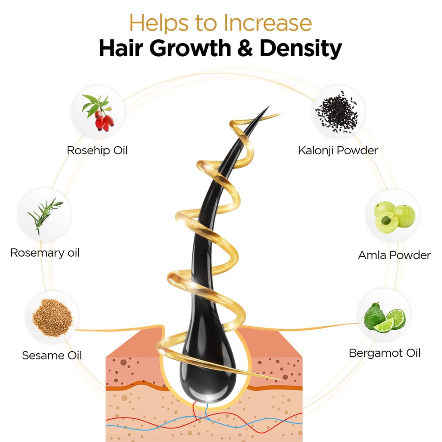 Protouch Hair Growth Maximizer Combo - Hair Growth Serum & Oil, Reduces Hair fall, Boost Regrowth