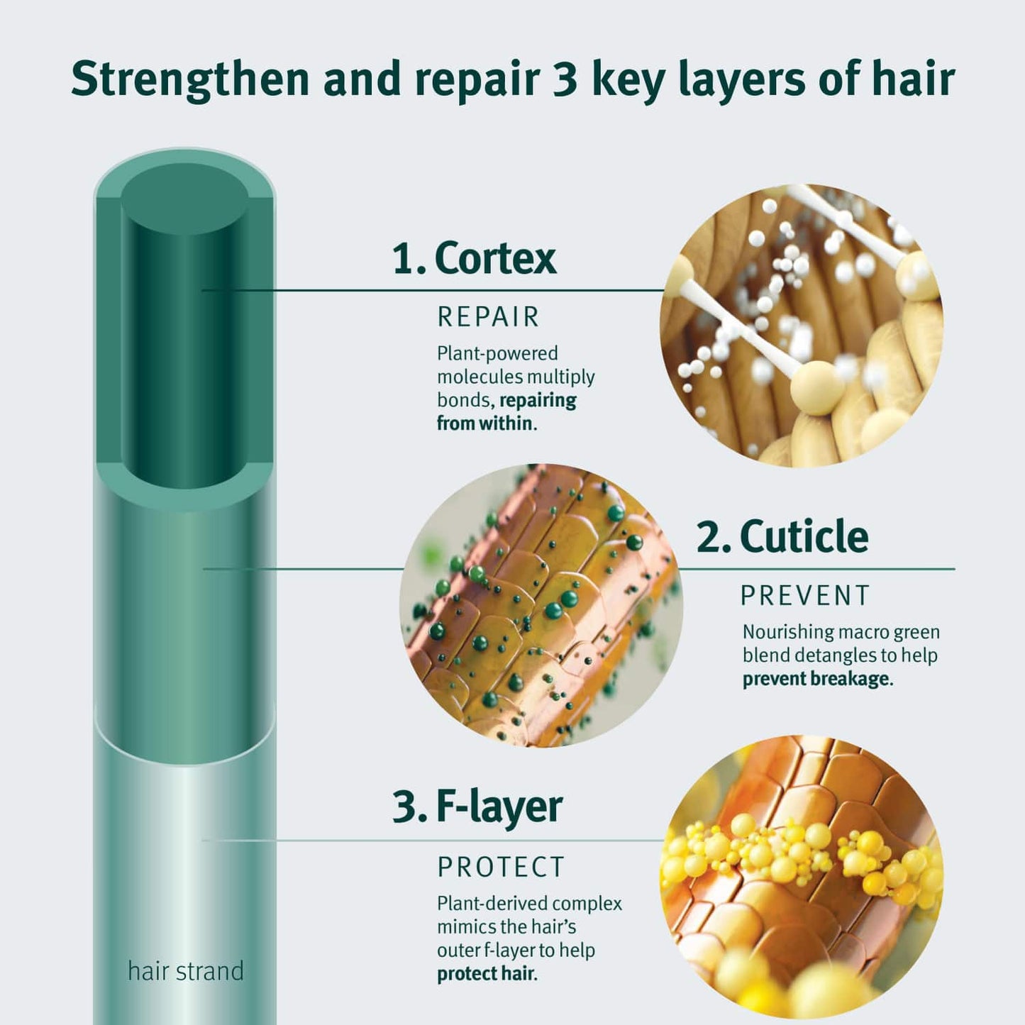 Aveda Botanical Repair Strengthen Shampoo (200ml)