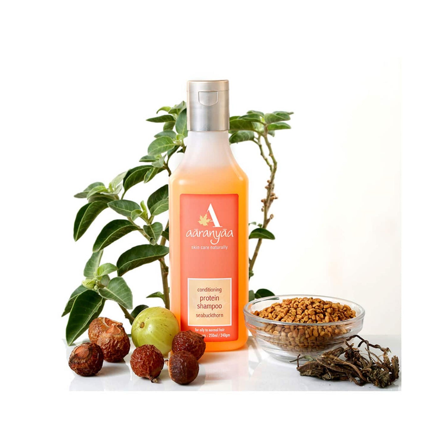 Aaranyaa Conditioning Protein Shampoo Seabuckthorn (250ml)