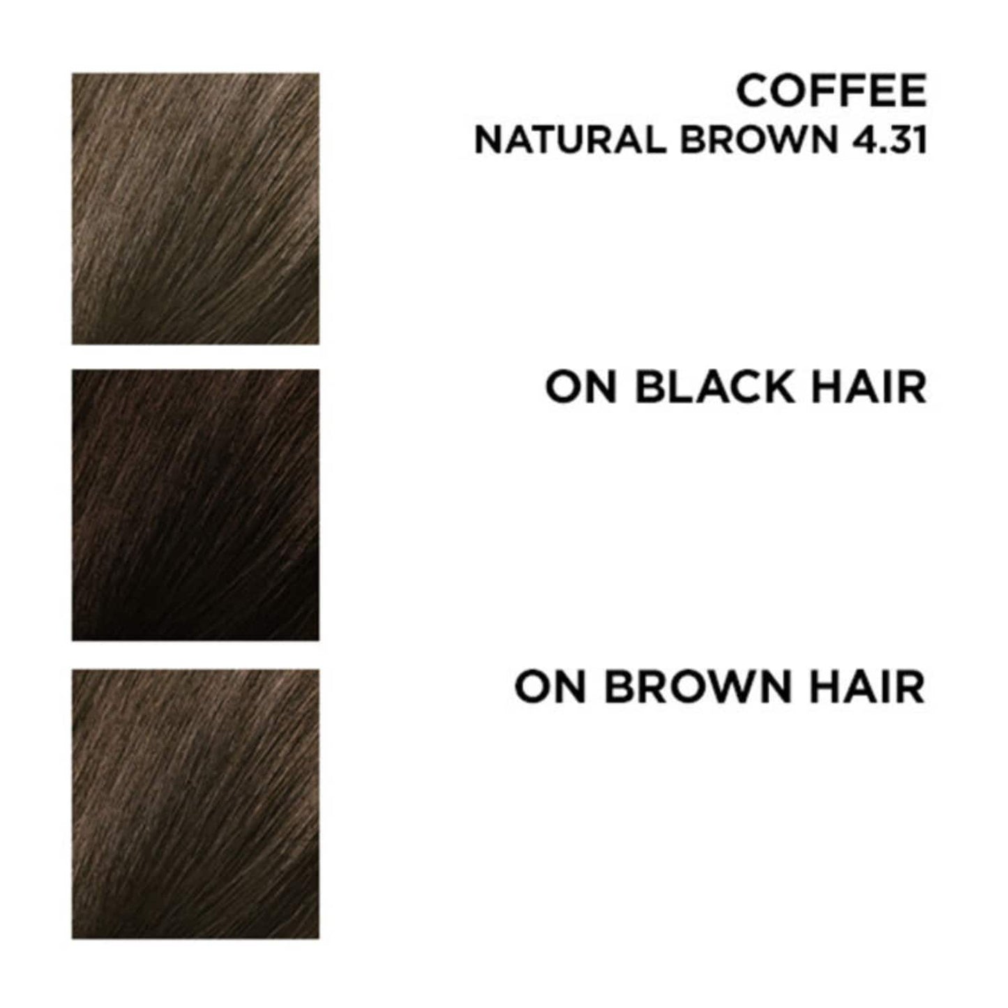 BBlunt Salon Secret High Shine Cream Hair Color - 4.31 Coffee Natural Brown (100g+8ml)