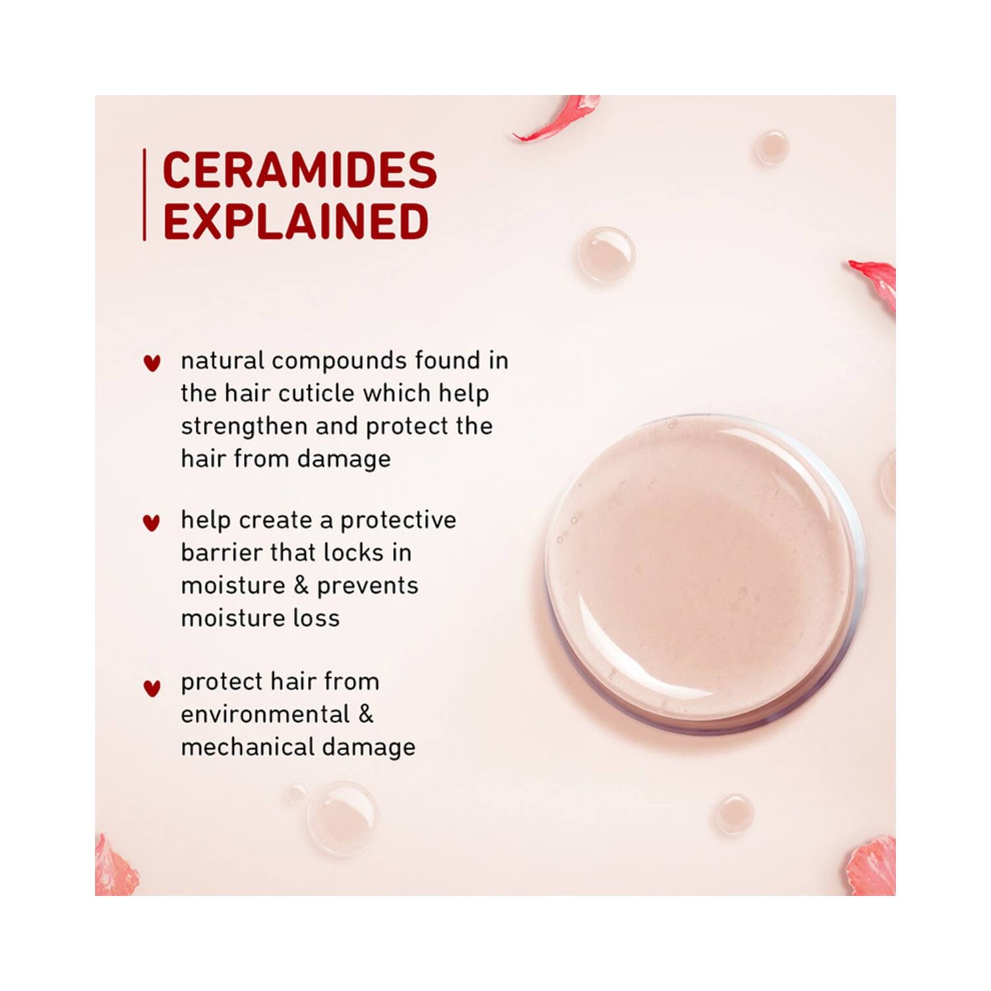 Plum Hibiscus & Ceramides Long & Healthy Conditioner (175g)