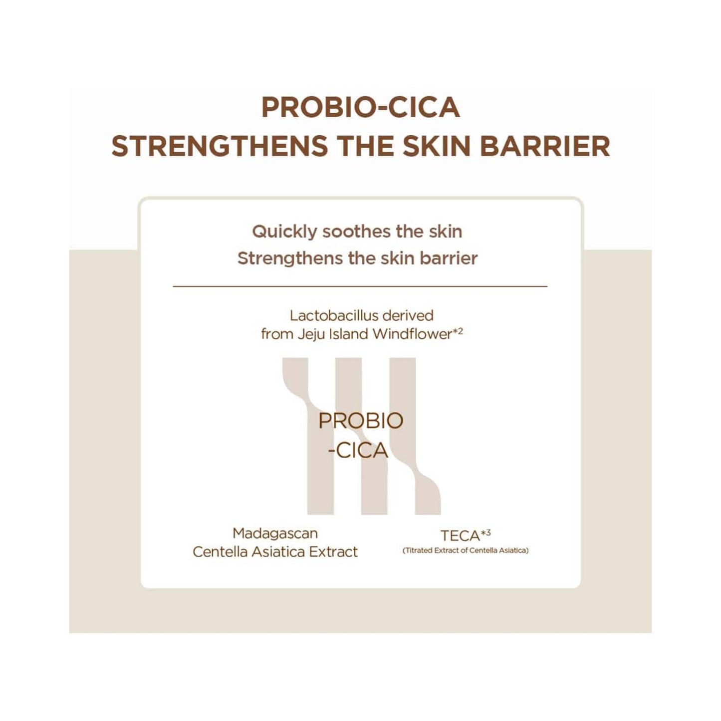 SKIN1004 Madagascar Centella Probio-Cica Intensive Ampoule (50ml)