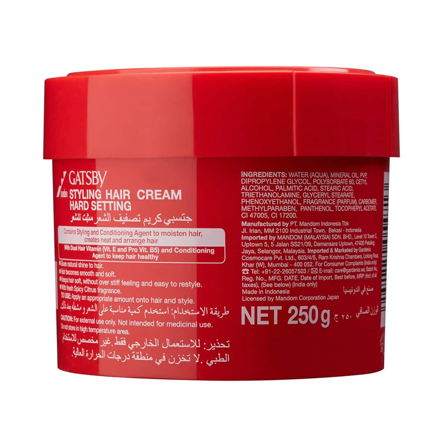 Gatsby Styling Neat & Arrange Hard Setting Hair Cream (250g)